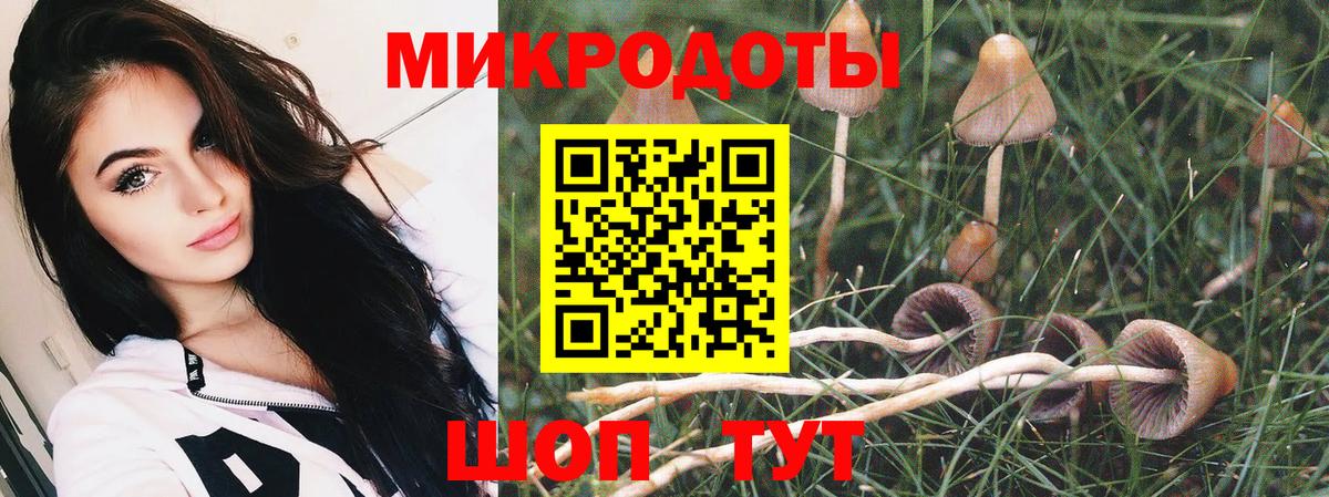 Псилоцибиновые грибы Cubensis  Вход с VPN  Каспийск  Галлюциногенные грибы мухоморы 